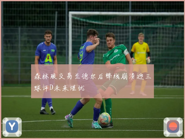 森林狼交易兰德尔后锋线崩溃迎三球评D未来堪忧