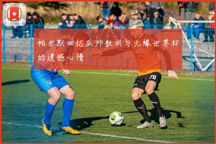 帕尔默回忆瓜帅教训与无缘世界杯的遗憾心情