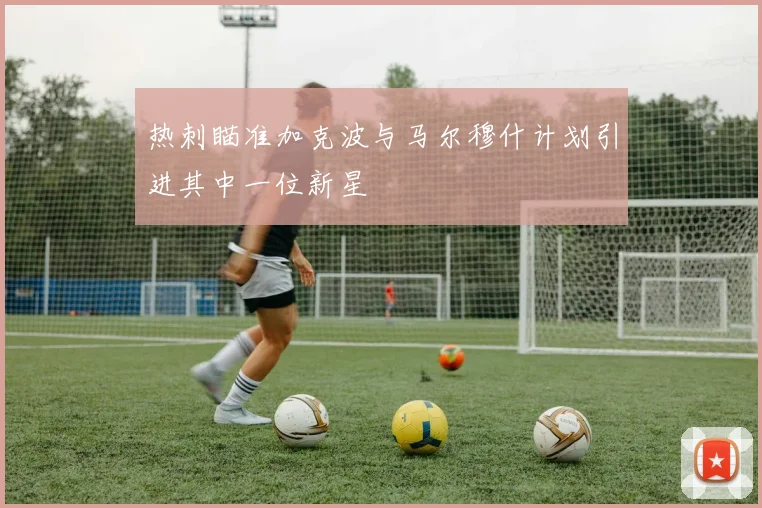 热刺瞄准加克波与马尔穆什计划引进其中一位新星